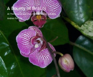 A Bounty of Beauty book cover