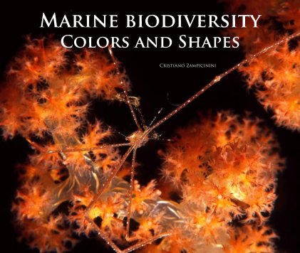 Marine Biodiversity  - Colors and Shapes book cover