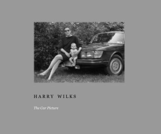 Harry Wilks book cover