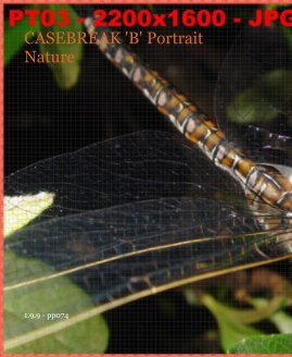 CASEBREAK 'B' Portrait Nature book cover