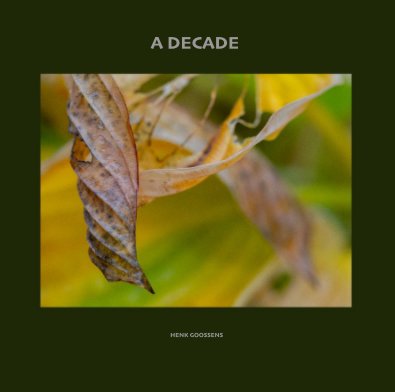 A Decade book cover