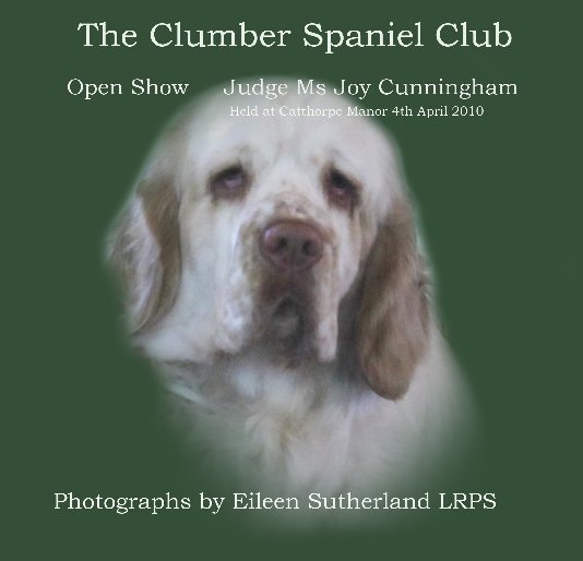 View Clumber Spaniel Club Open Show 2010 by Eileen Sutherland