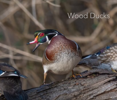 Wood Ducks book cover