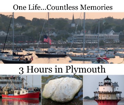 3 Hours in Plymouth book cover