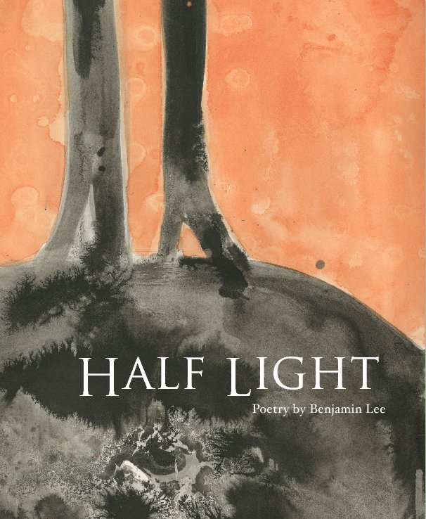 View Half Light by Benjamin Lee