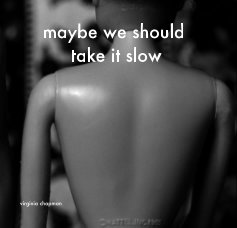 maybe we should take it slow book cover