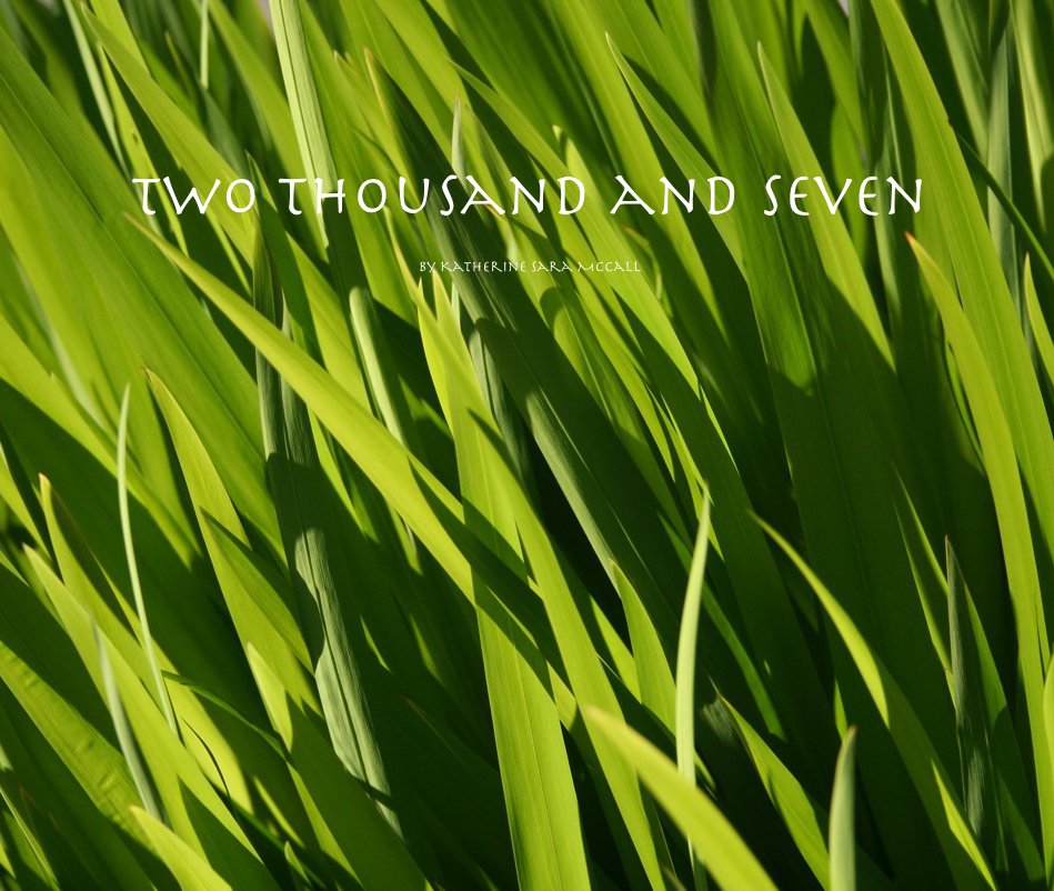 View two thousand and seven by Katherine Sara McCall