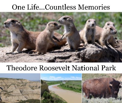 Theodore Roosevelt National Park book cover