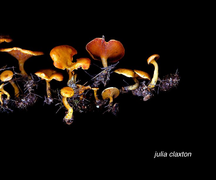 View Fruiting Bodies by Julia Claxton