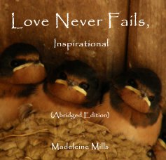 Love Never Fails, Inspirational book cover