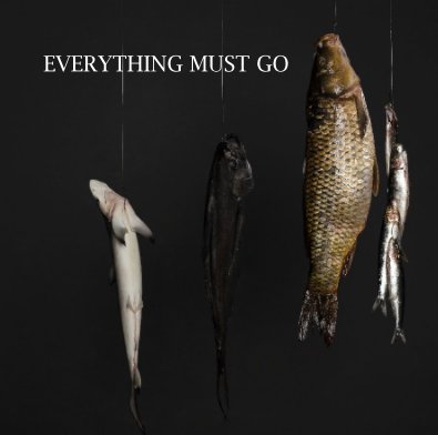 EVERYTHING MUST GO book cover