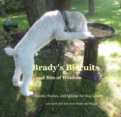Brady's Biscuits and Bits of Wisdom book cover
