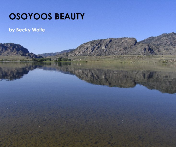 Ver OSOYOOS BEAUTY - 10x8 landscape por Becky Wolfe