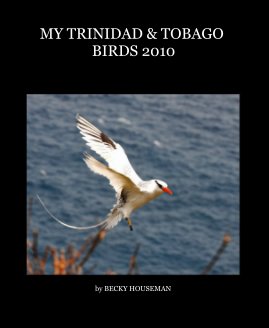 MY TRINIDAD & TOBAGO BIRDS 2010 book cover