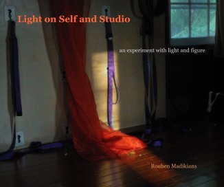 Light on Self and Studio book cover