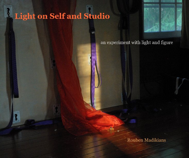View Light on Self and Studio by Rouben Madikians
