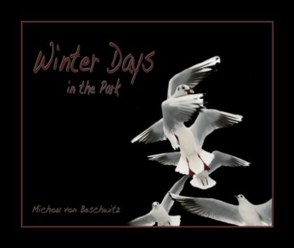 Winter Days book cover