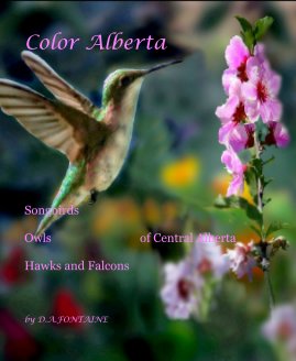 Color Alberta book cover