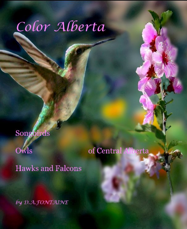 Ver Color Alberta por D.A.FONTAINE