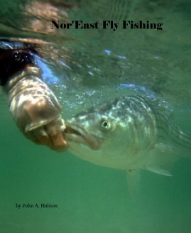 Nor'East Fly Fishing book cover