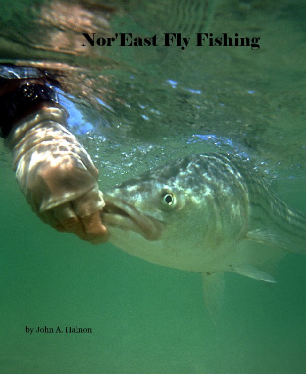 Ver Nor'East Fly Fishing por John A. Halnon