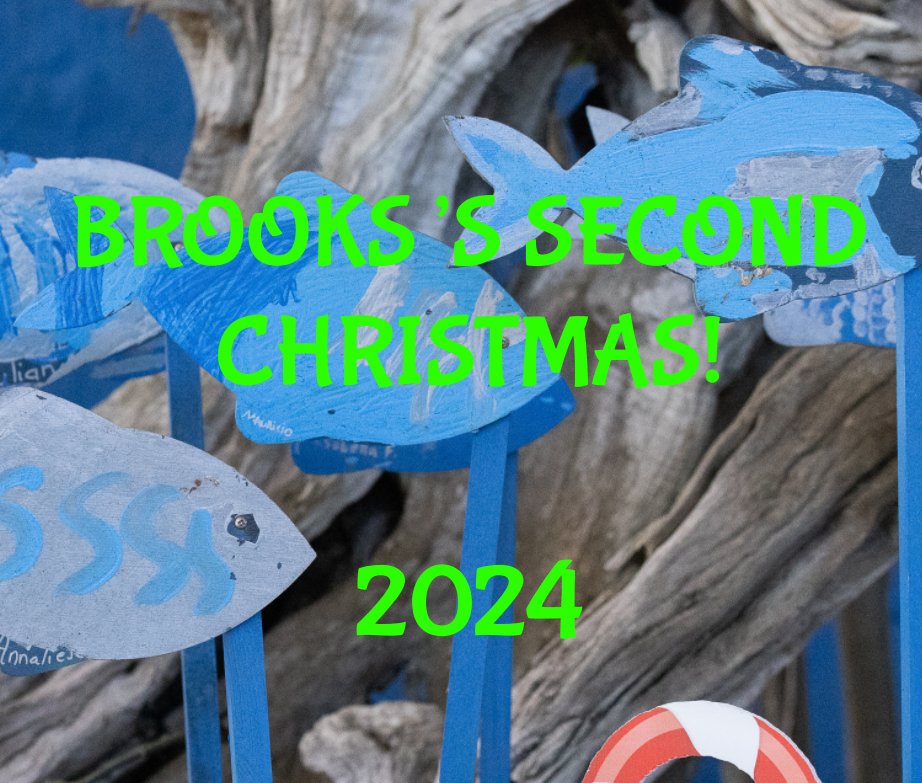 Ver Brooks's Second Christmas! por Matthew B. Palmeri