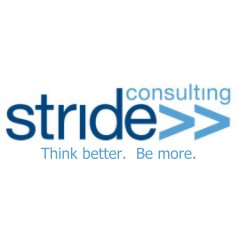 Stride Consulting book cover