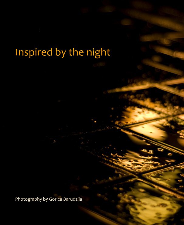 View Inspired by the night by Gorica Barudzija