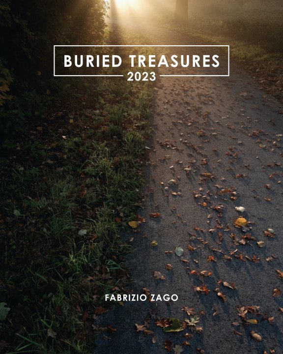 View Buried treasures (2023) by Fabrizio Zago