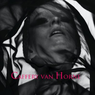 Caffery van Horne book cover