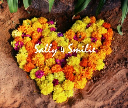 Sally 4 Smilie book cover