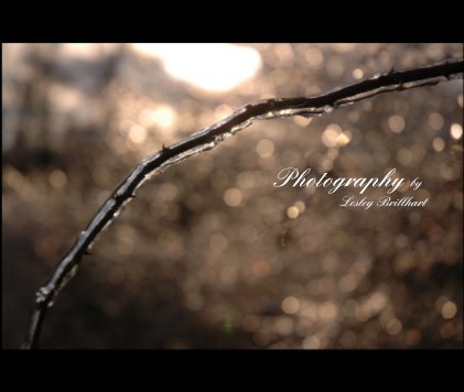 Photography by Lesley Brillhart book cover