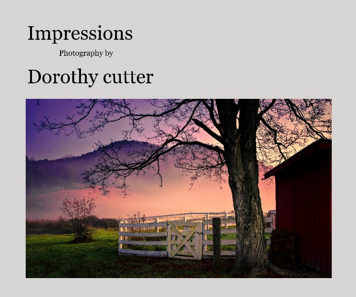 View Impressions by Dorothy Cutter