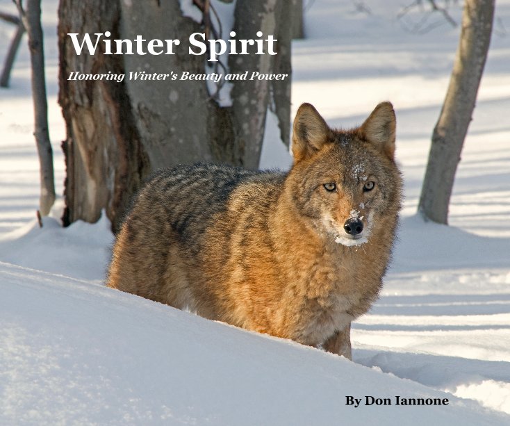 View Winter Spirit by Don Iannone