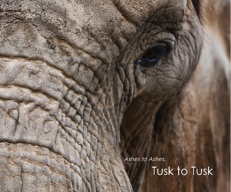 View Ashes to Ashes, Tusk to Tusk by Holly Hildreth