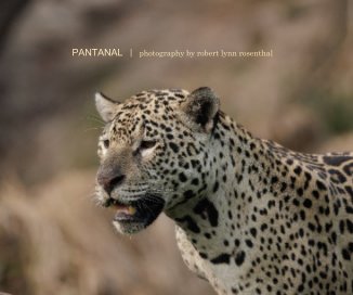 Pantanal book cover