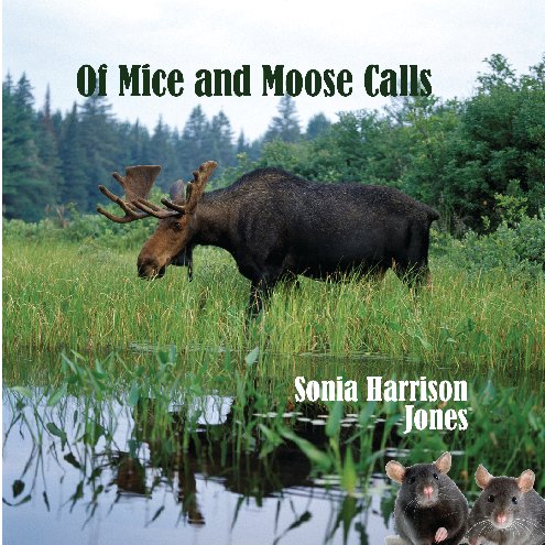 View Of Mice and Moose Calls by Sonia Harrison Jones