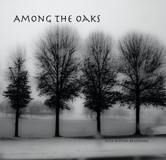 View Among the Oaks by Alex Samuel Bluestone