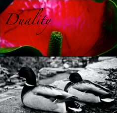 Duality book cover