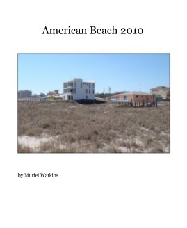 American Beach 2010 book cover