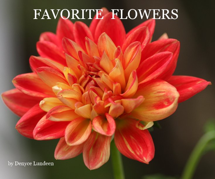 View FAVORITE FLOWERS by Denyce Lundeen