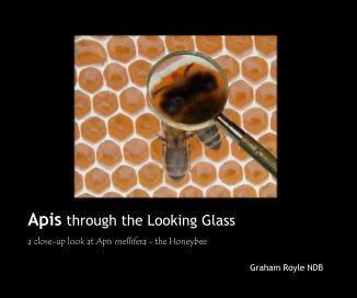 Apis through the Looking Glass book cover