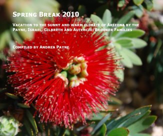 Spring Break 2010 book cover