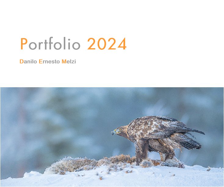 View Portfolio 2024 by Danilo Ernesto Melzi