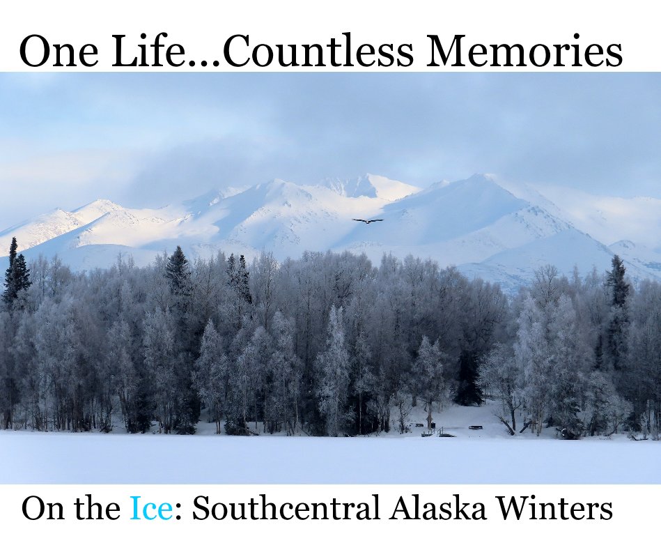 View On the Ice: Southcentral Alaska Winters by Chris Shaffer