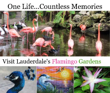 Visit Lauderdale's Flamingo Gardens book cover