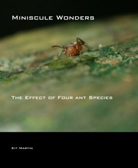 Miniscule Wonders book cover