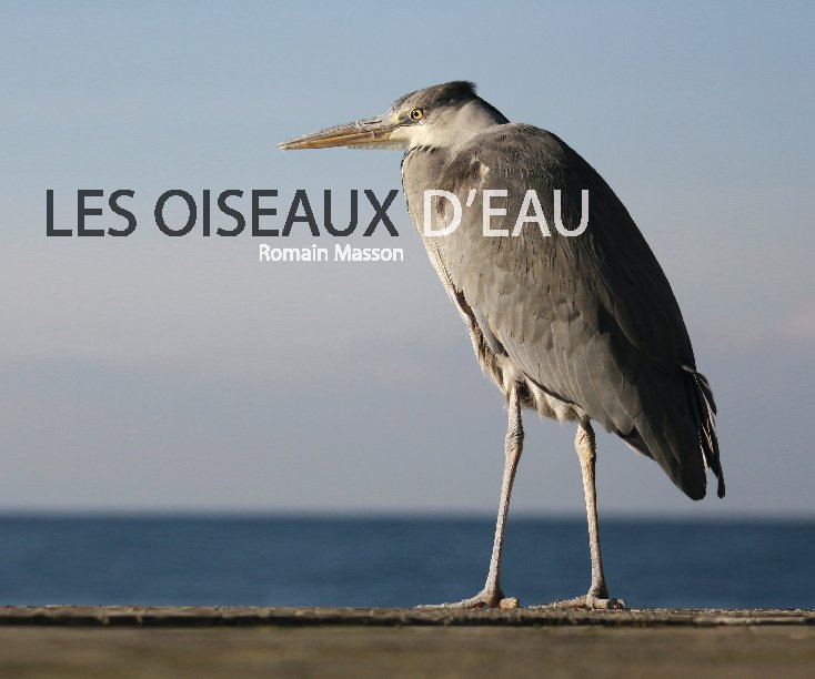 View Les Oiseaux D'eau by Romain Masson