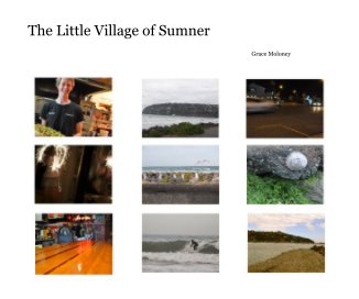 The Little Village of Sumner book cover