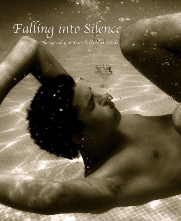 View Falling into Silence by Chris Dade